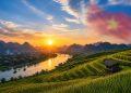 Ngoại ngữ hay ngôn ngữ thứ 2: Góc nhìn hội nhập, kinh tế và chủ quyền văn hóa tại Văn kiện Đại hội XIV và Nghị quyết 80