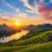 Ngoại ngữ hay ngôn ngữ thứ 2: Góc nhìn hội nhập, kinh tế và chủ quyền văn hóa tại Văn kiện Đại hội XIV và Nghị quyết 80